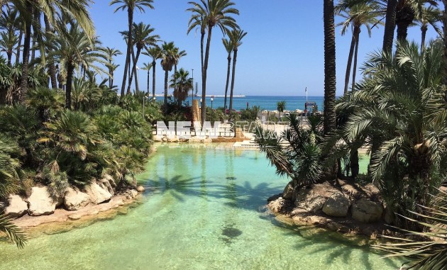 Nieuwbouw Woningen - Penthouse - Santa Pola