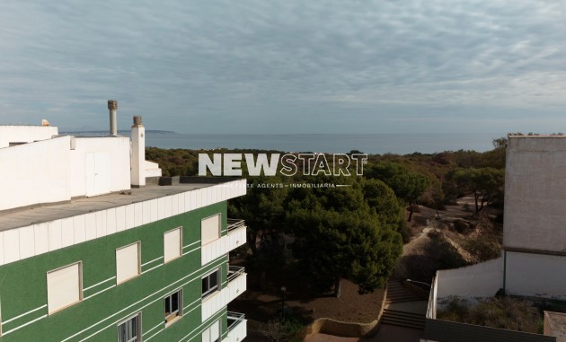 Nouvelle construction - Appartement - Guardamar del Segura