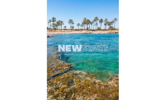 Obra nueva - Ático - Torrevieja