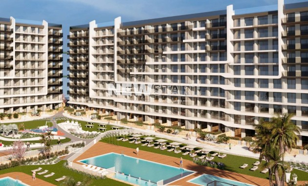 Obra nueva - Apartamento - Torrevieja