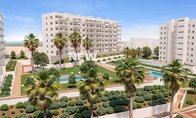 Nouvelle construction - Rez-de-chaussée - San Miguel de Salinas