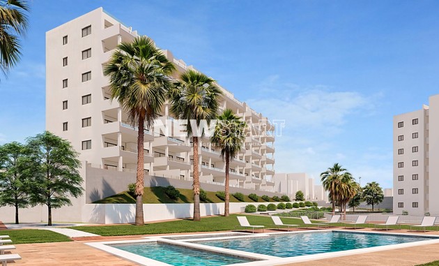 Nouvelle construction - Rez-de-chaussée - San Miguel de Salinas