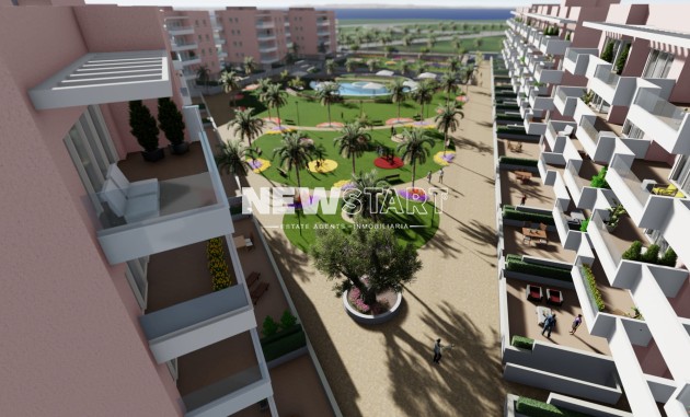 Obra nueva - Planta Baja - Guardamar del Segura