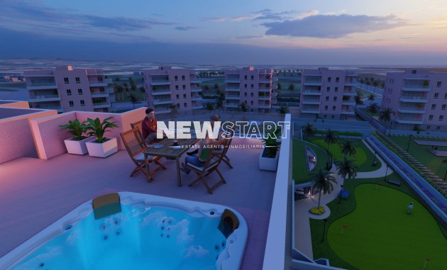 Neue Gebäude - Penthouse - Guardamar del Segura