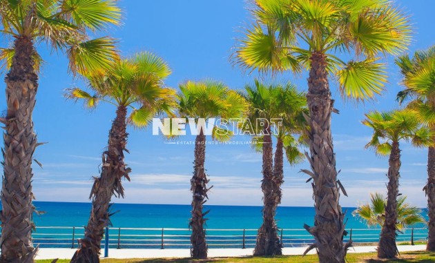 Nouvelle construction - Mitoyenne - Orihuela Costa