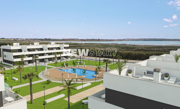 Obra nueva - Apartamento - Guardamar del Segura