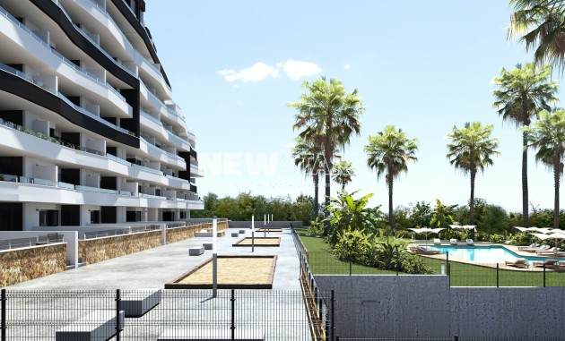 Obra nueva - Planta Baja - San Miguel de Salinas