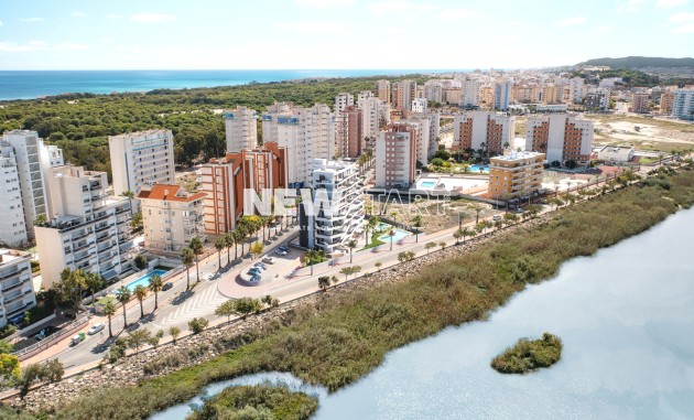 Obra nueva - Ático - Guardamar del Segura