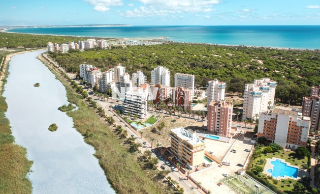 Obra nueva - Ático - Guardamar del Segura