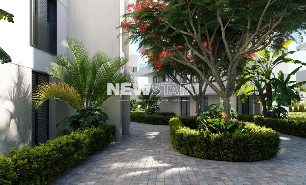 Nouvelle construction - Appartement - Torre-Pacheco