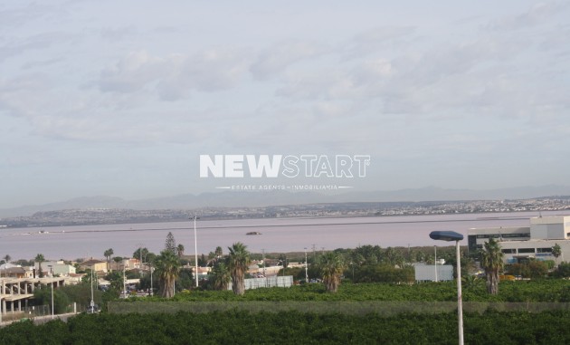Neue Gebäude - Reihenhaus - Torrevieja