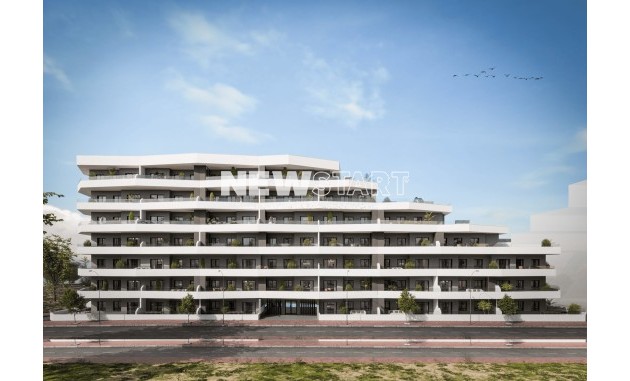 Neue Gebäude - Wohnung - San Miguel de Salinas