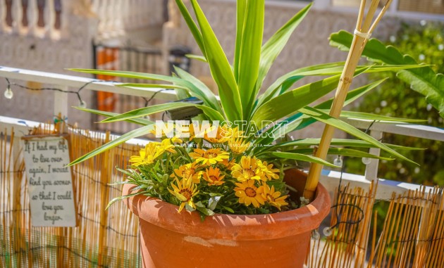 Resale - Townhouse - La Marina - Urb. La Marina