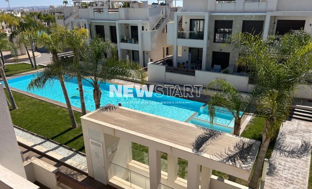 Neue Gebäude - Erdgeschoss - Torrevieja