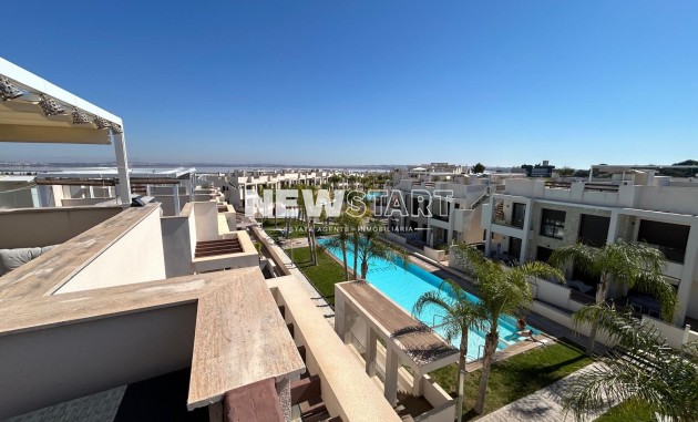 Neue Gebäude - Erdgeschoss - Torrevieja