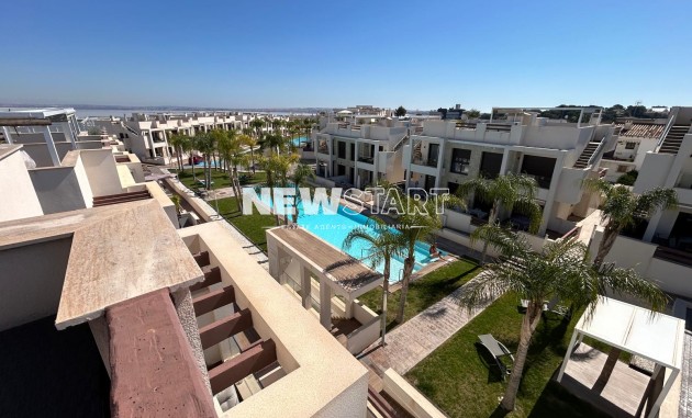 Neue Gebäude - Erdgeschoss - Torrevieja