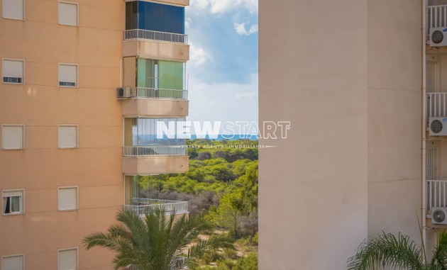 Resale - Apartment - Guardamar del Segura
