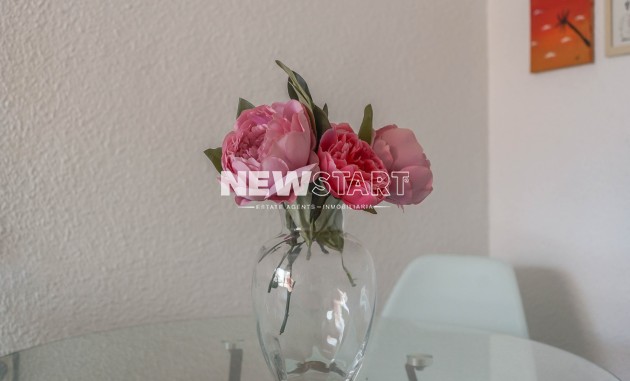 Herverkoop - Appartement - San Fulgencio