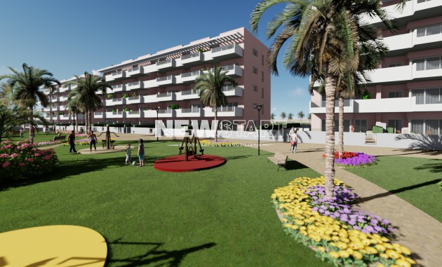 Neue Gebäude - Penthouse - Guardamar del Segura