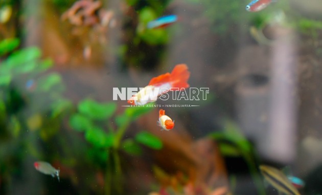 Revente - Détaché - La Marina - Urb. La Marina