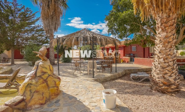 Revente - Maison de campagne-Finca - Elche - La Hoya