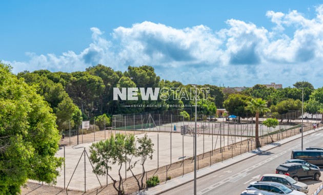 Nouvelle construction - Détaché - Pilar de la Horadada