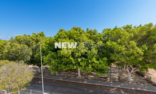 Nouvelle construction - Détaché - Pilar de la Horadada