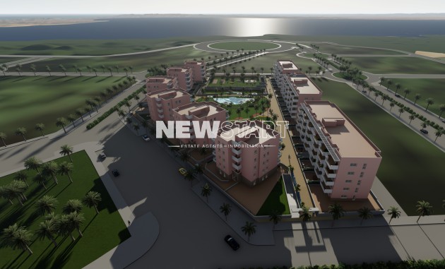 Neue Gebäude - Penthouse - Guardamar del Segura