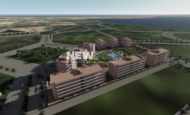 Neue Gebäude - Penthouse - Guardamar del Segura
