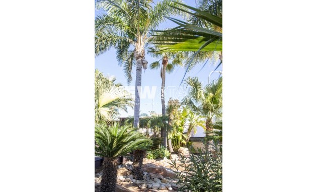 New Build - Villa - San Pedro del Pinatar