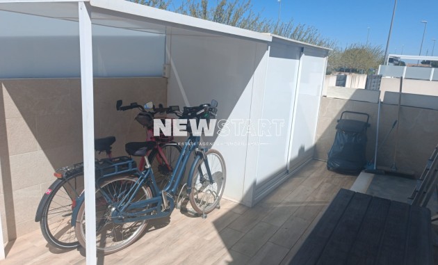 Resale - Detached - Daya Nueva