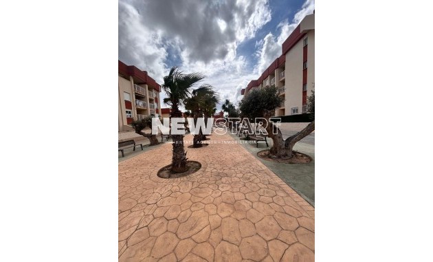 Nybyggnation - Bottenvåning - Orihuela Costa