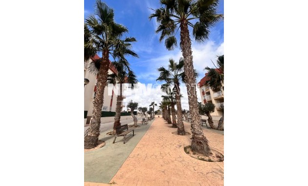 Nybyggnation - Bottenvåning - Orihuela Costa