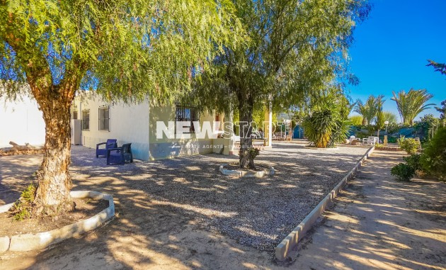 Revente - Maison de campagne-Finca - Elche - Partida Marina