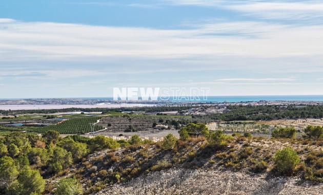 Nybyggnation - Villa - San Miguel de Salinas