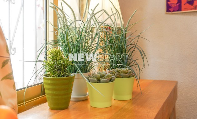 Revente - Détaché - La Marina - Urb. La Marina