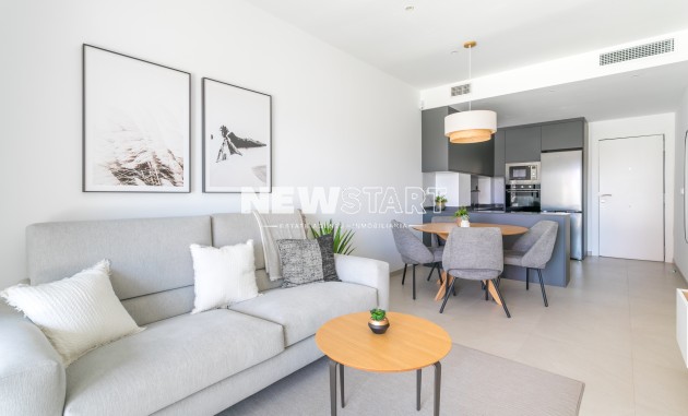 Nouvelle construction - Penthouse - Torrevieja