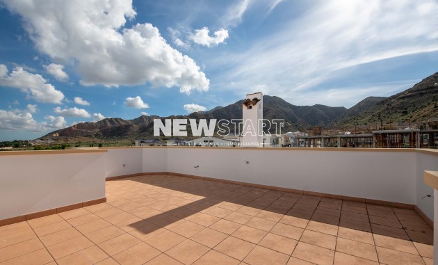 Nouvelle construction - Mitoyenne - Cox