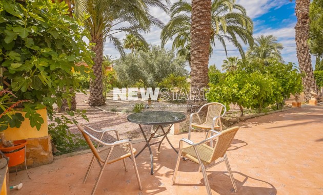 Resale - Country House-Finca - Elche - Daimes