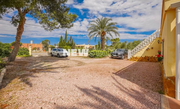 Resale - Country House-Finca - Elche - Daimes