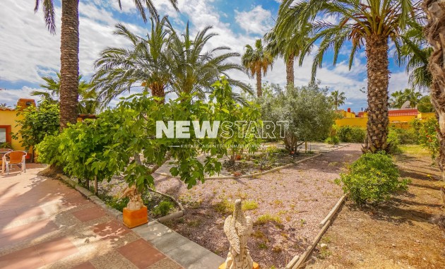 Resale - Country House-Finca - Elche - Daimes