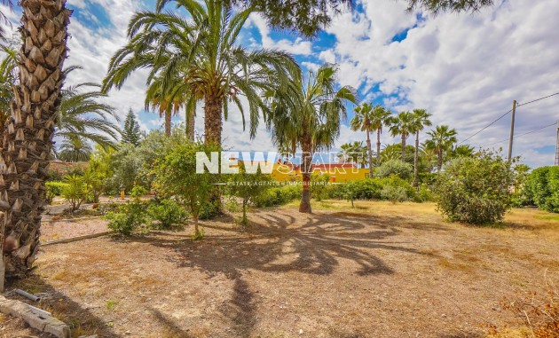 Resale - Country House-Finca - Elche - Daimes