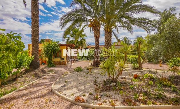 Resale - Country House-Finca - Elche - Daimes