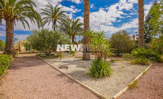 Resale - Country House-Finca - Elche - Daimes