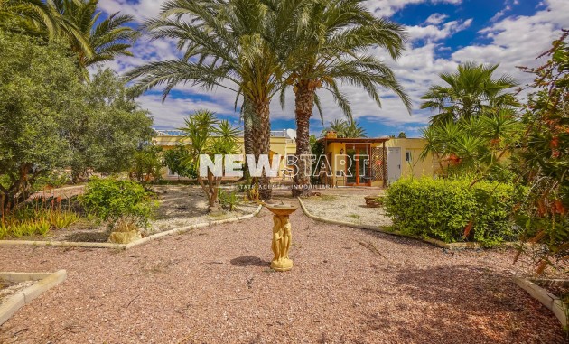 Resale - Country House-Finca - Elche - Daimes