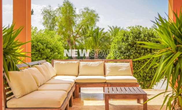 Reventa - Casa de campo-Finca - Elche - La Hoya