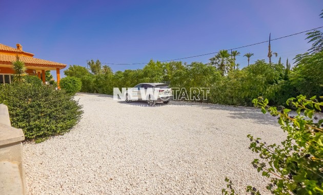 Reventa - Casa de campo-Finca - Elche - La Hoya