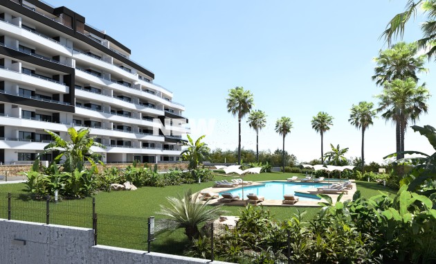 Neue Gebäude - Wohnung - San Miguel de Salinas