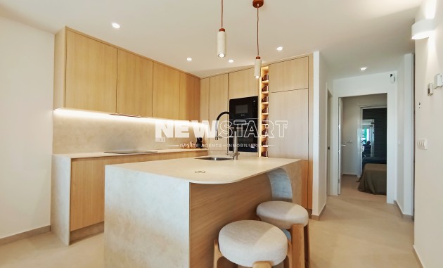 Neue Gebäude - Penthouse - Benijofar