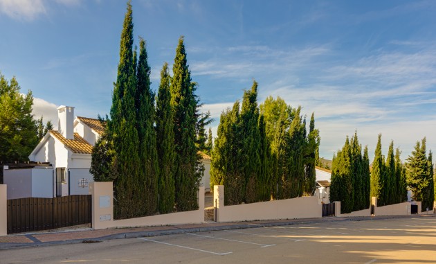 Nieuwbouw Woningen - Vrijstaand - Fuente Alamo